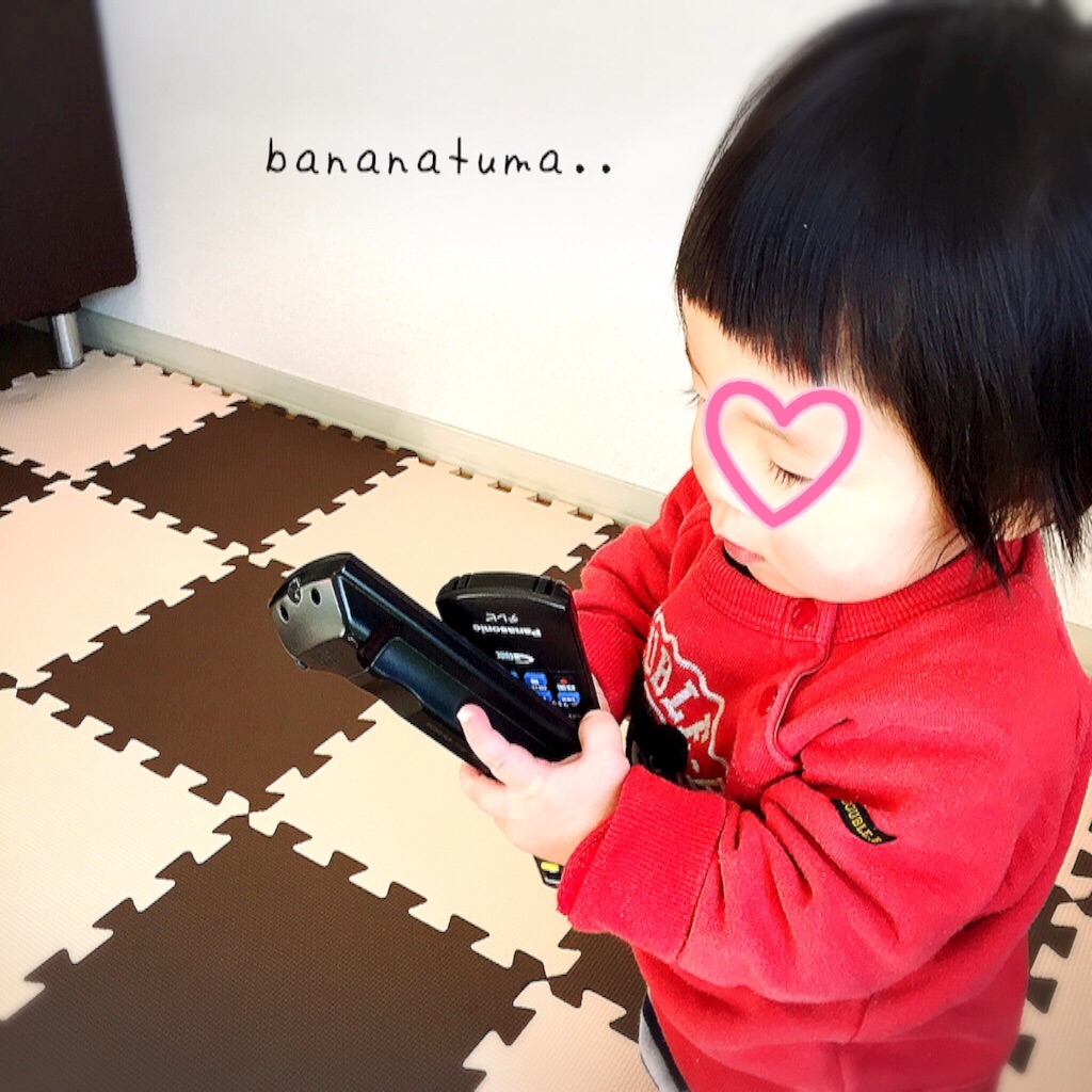 f:id:bananatuma:20170302133626j:image f:id:bananatuma:20170302133626j:image
