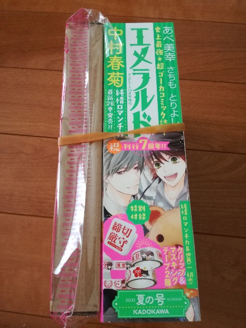 f:id:bananatyoko:20210907150958j:image