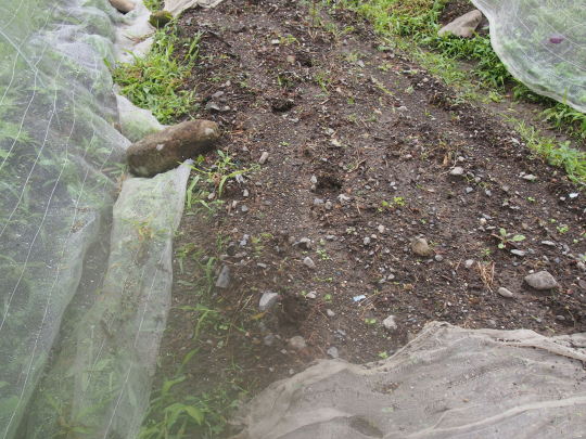 f:id:banashi1:20180115171644j:plain f:id:banashi1:20180115171644j:plain