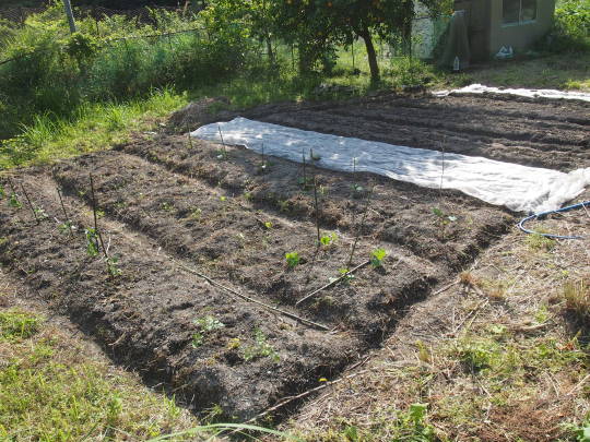 f:id:banashi1:20180115182916j:plain f:id:banashi1:20180115182916j:plain