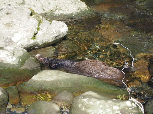 f:id:banashi1:20180115183739j:plain