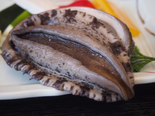 f:id:banashi1:20180115184755j:plain