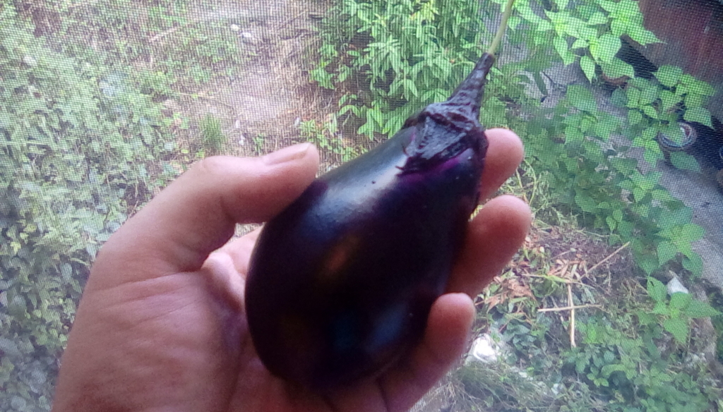 f:id:banashi1:20180805182130j:plain f:id:banashi1:20180805182130j:plain