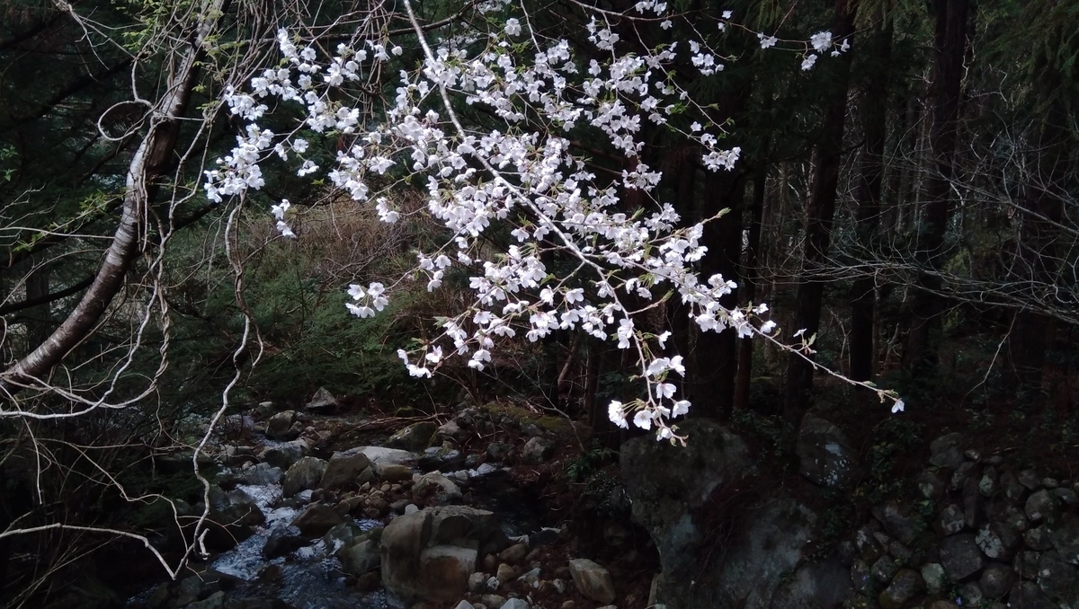 f:id:banashi1:20200331000228j:plain