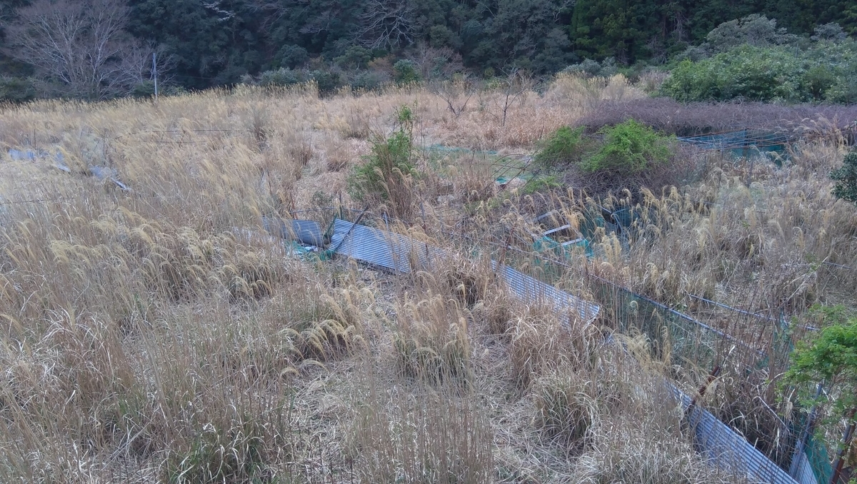 f:id:banashi1:20200401113238j:plain