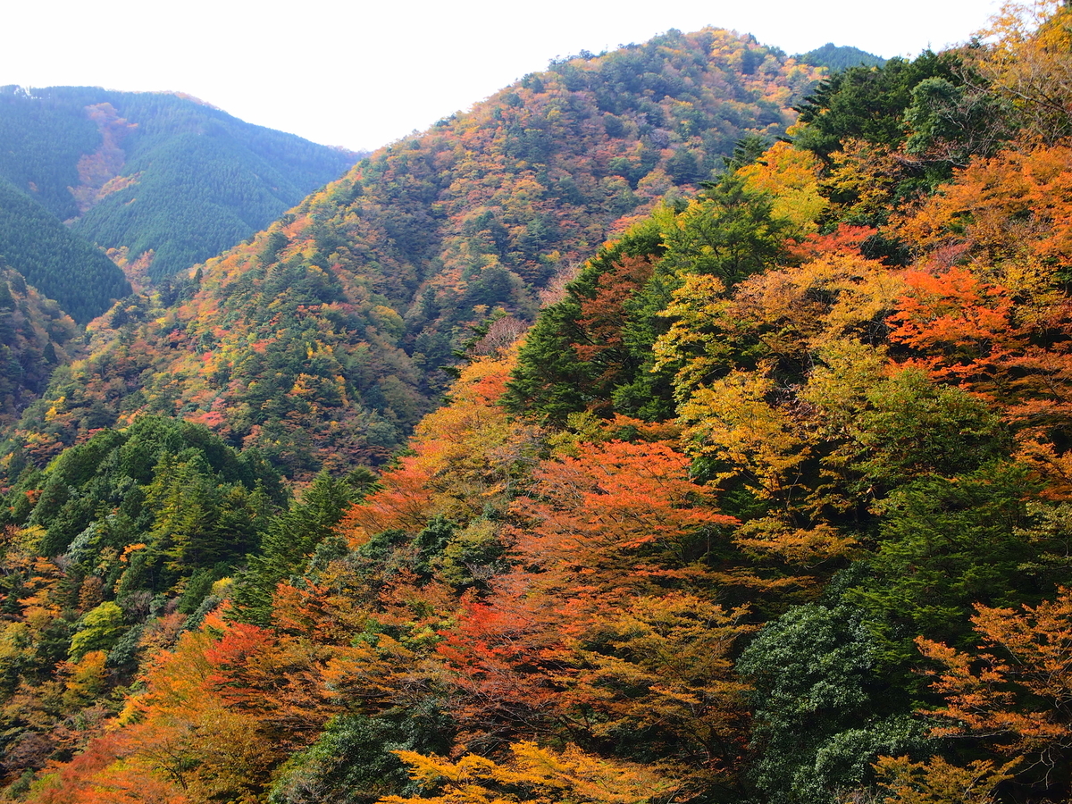 f:id:banashi1:20201231145754j:plain