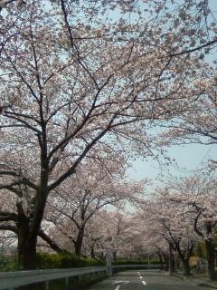 f:id:banashow:20090407025355j:image