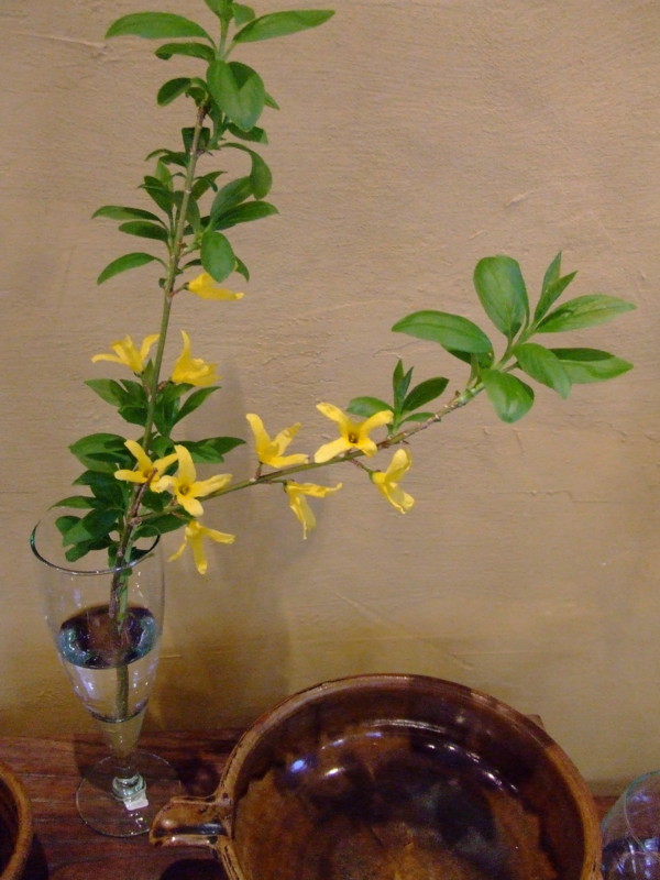 f:id:banashow:20090409171150j:image