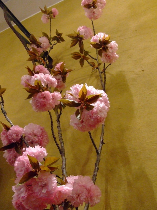 f:id:banashow:20090420182743j:image