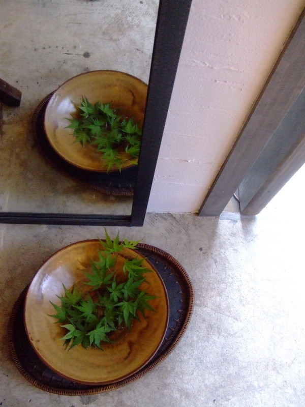 f:id:banashow:20090512162117j:image