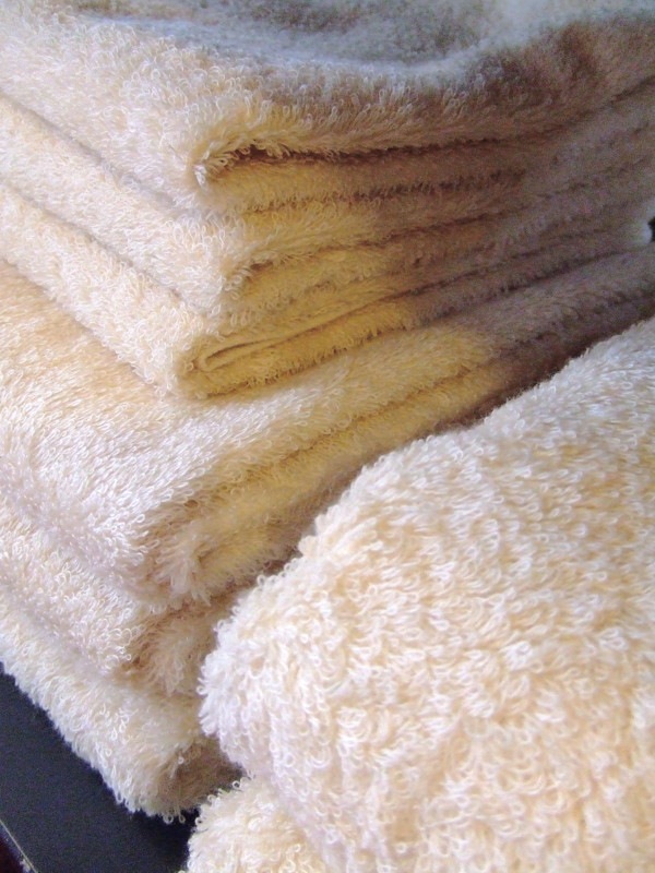 f:id:banashow:20090903153636j:image