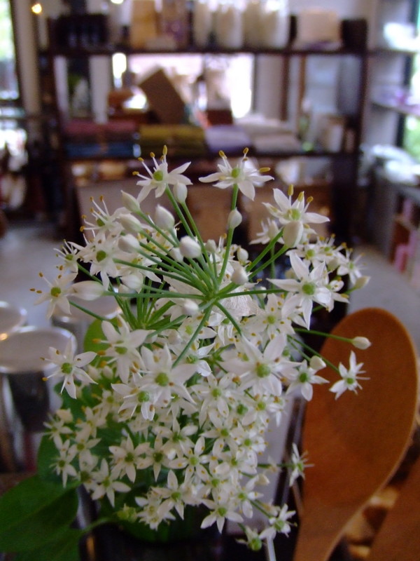 f:id:banashow:20090911135343j:image