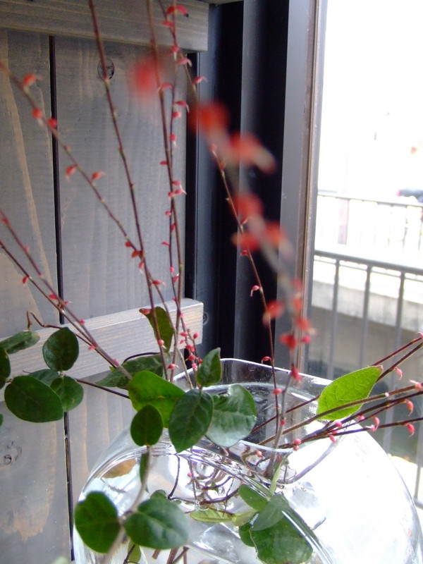 f:id:banashow:20090911135407j:image