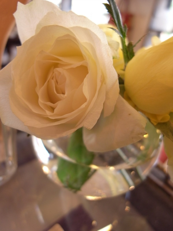 f:id:banashow:20090924122123j:image