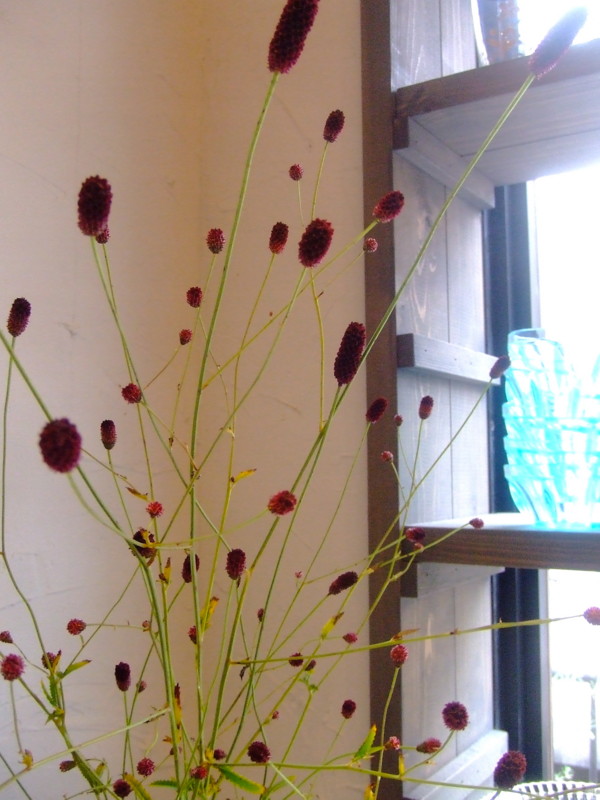 f:id:banashow:20090928131935j:image