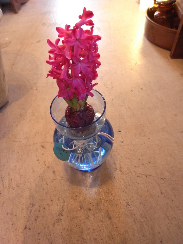 f:id:banashow:20100204130700j:image