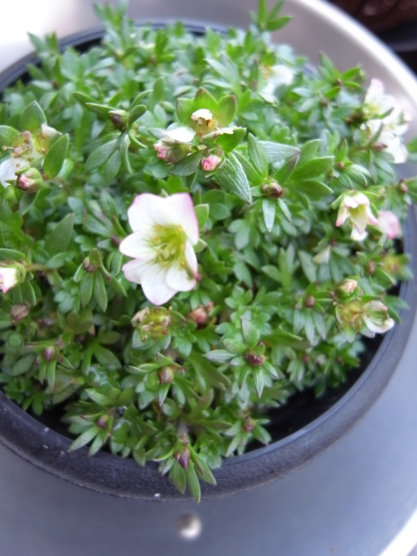 20100314120754