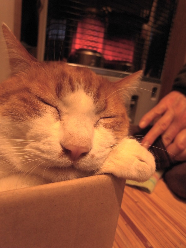 f:id:banashow:20100317193833j:image