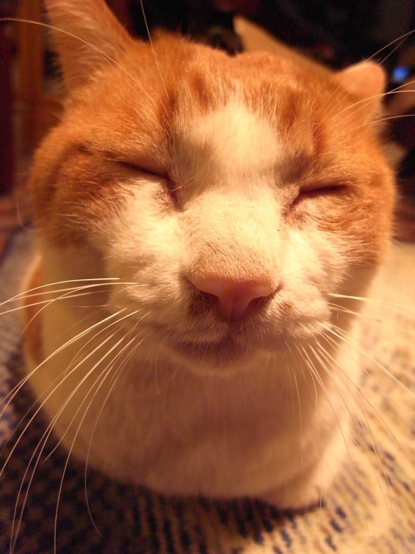 f:id:banashow:20100330210949j:image