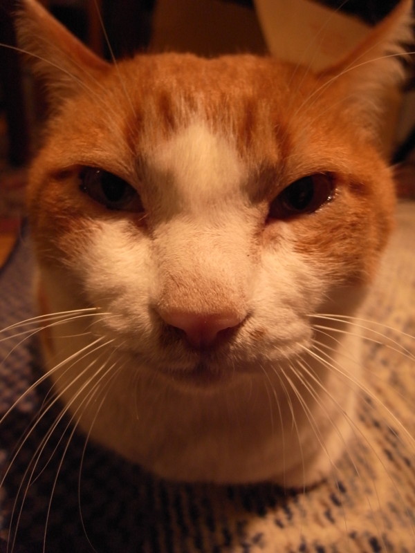 f:id:banashow:20100330211003j:image