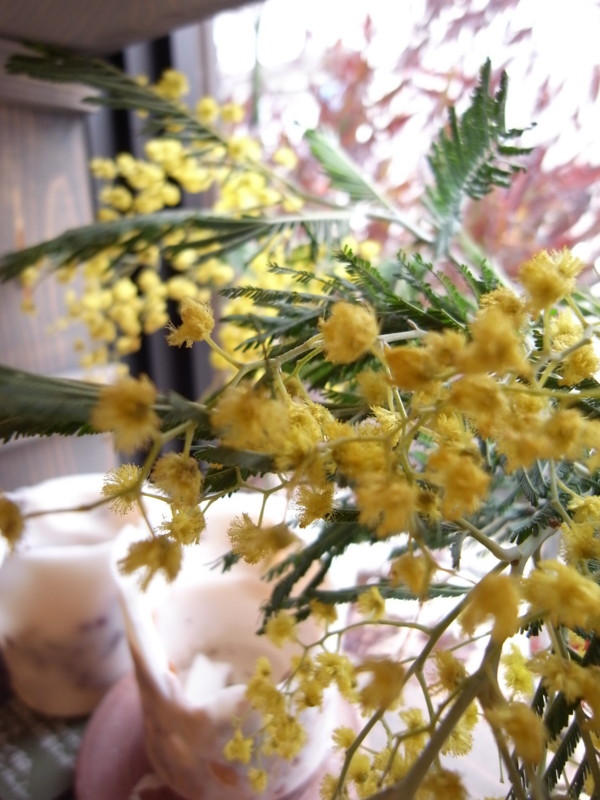 f:id:banashow:20100402141226j:image