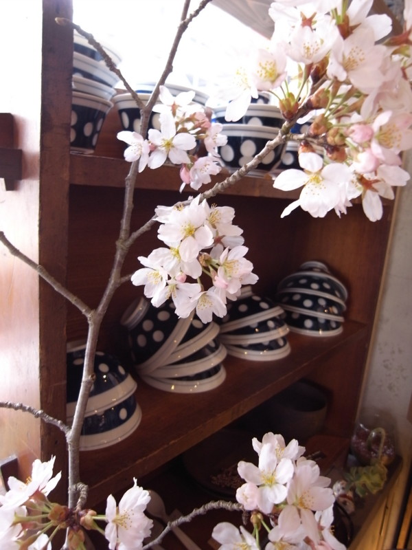 f:id:banashow:20100406132441j:image