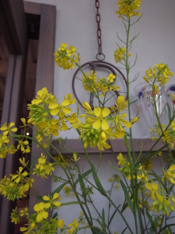 f:id:banashow:20100418120406j:image
