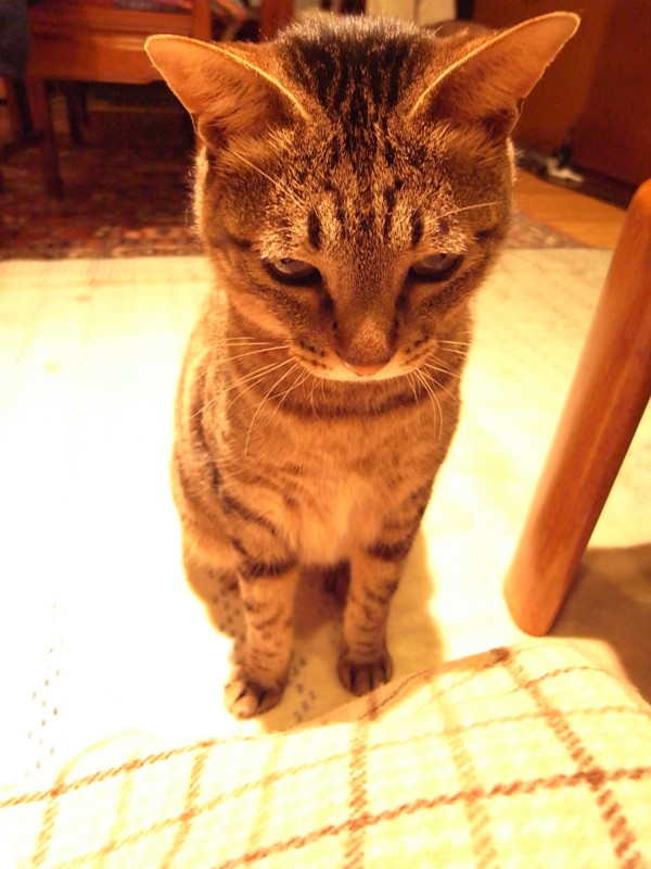 f:id:banashow:20100418212604j:image