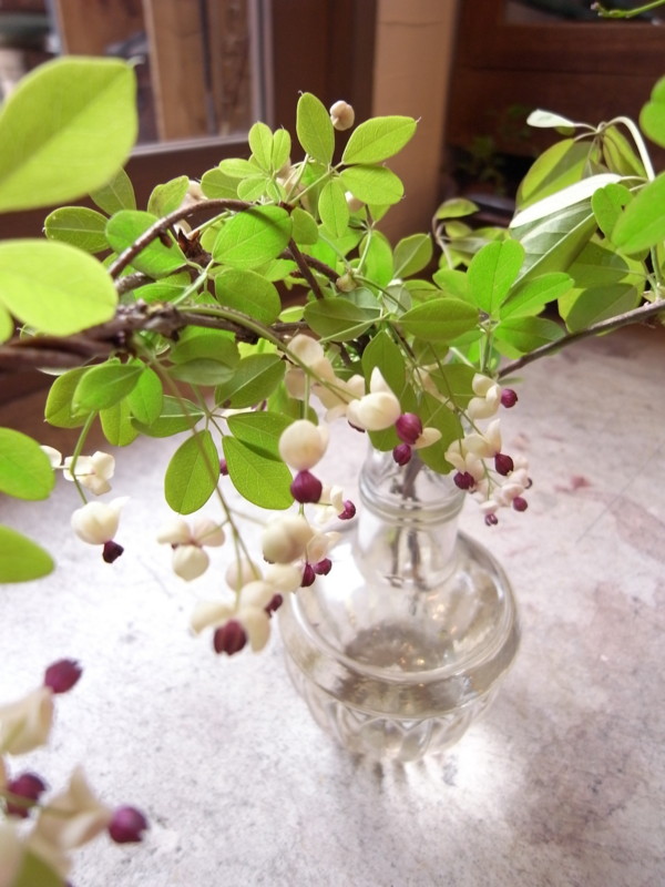 f:id:banashow:20100423162514j:image