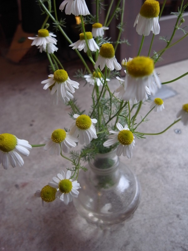 20100523130145