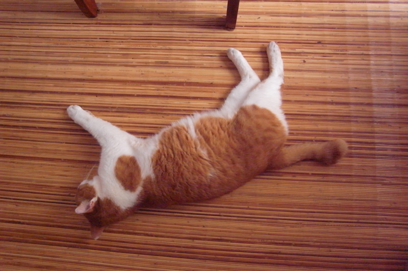 f:id:banashow:20100724095726j:image