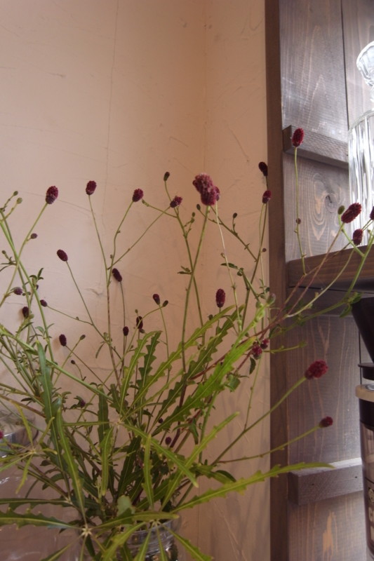f:id:banashow:20100920124542j:image