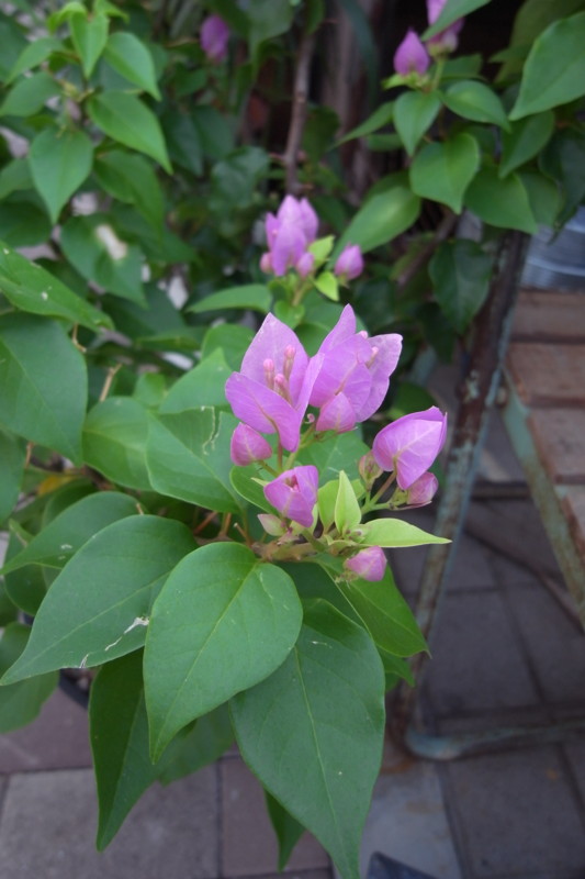 20100921153854