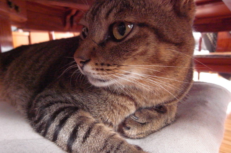 f:id:banashow:20100926095417j:image