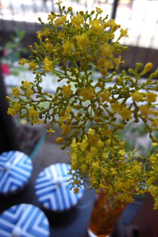 f:id:banashow:20101001131748j:image