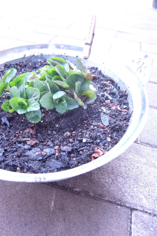 f:id:banashow:20110226124936j:image