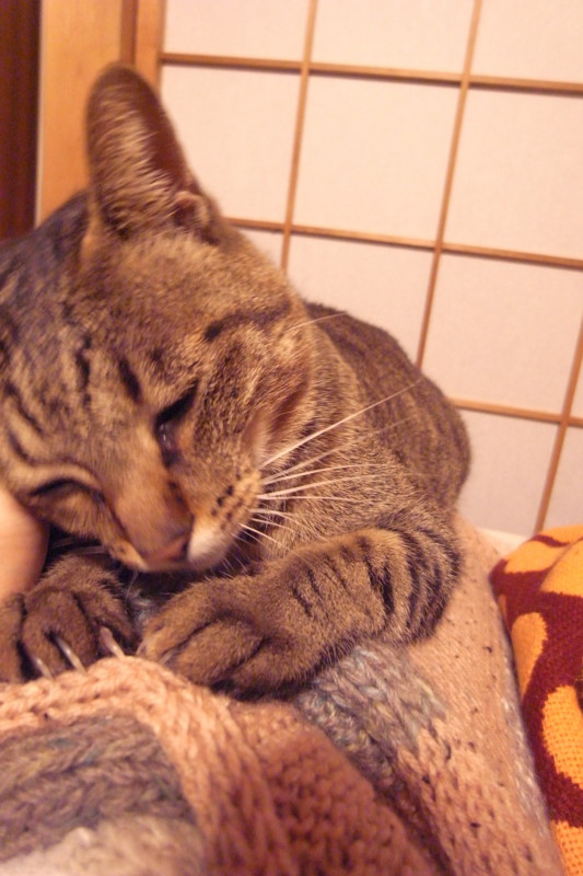 f:id:banashow:20110320215459j:image