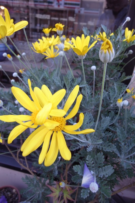 f:id:banashow:20110429163550j:image