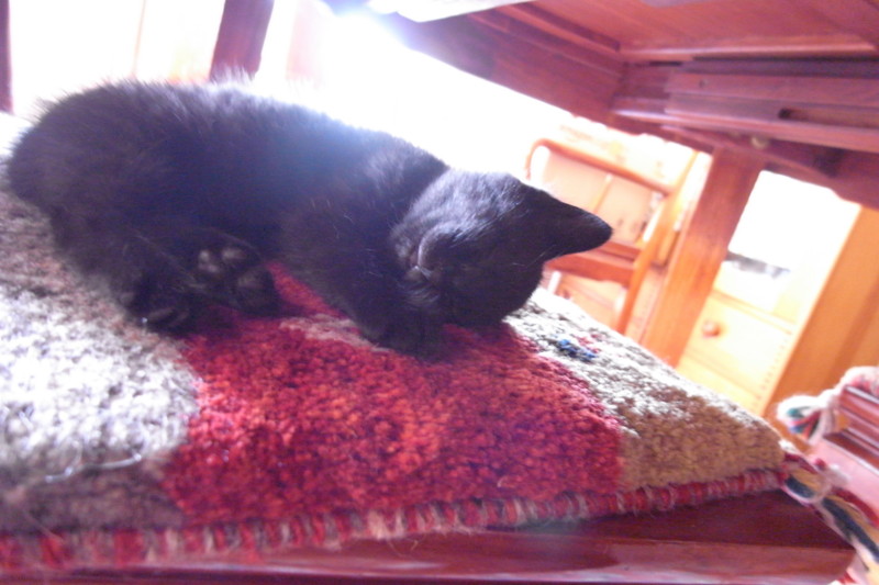 f:id:banashow:20110520095408j:image