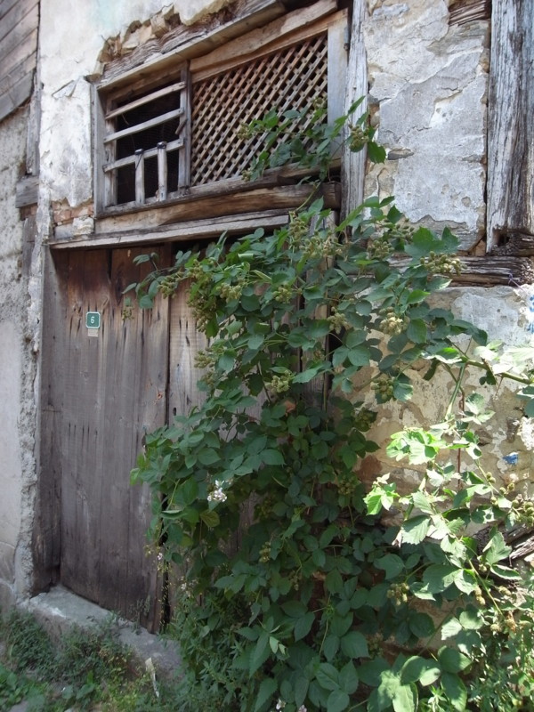 f:id:banashow:20110625183722j:image