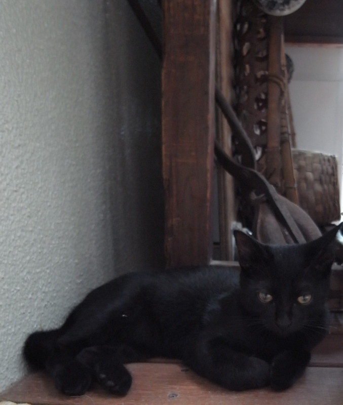 f:id:banashow:20110801100202j:image