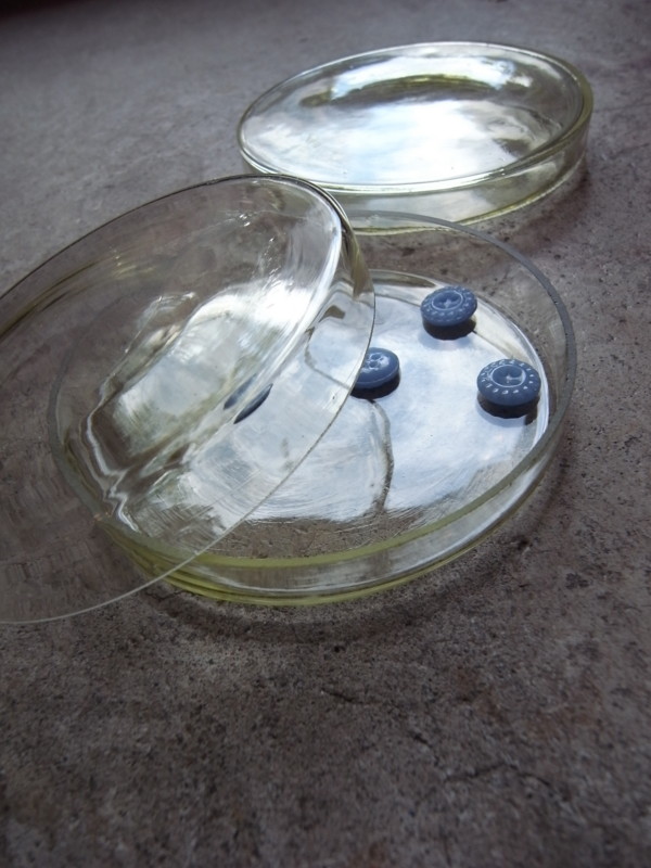 f:id:banashow:20110802153813j:image