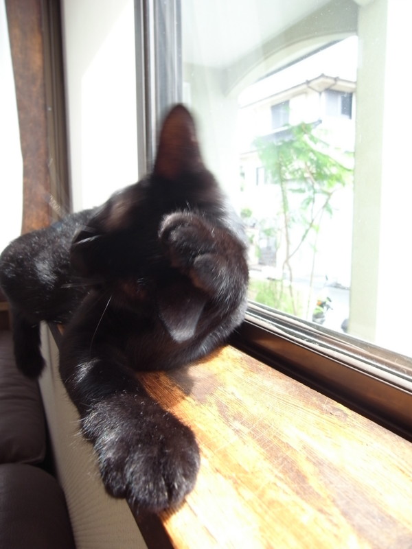 f:id:banashow:20110820102838j:image