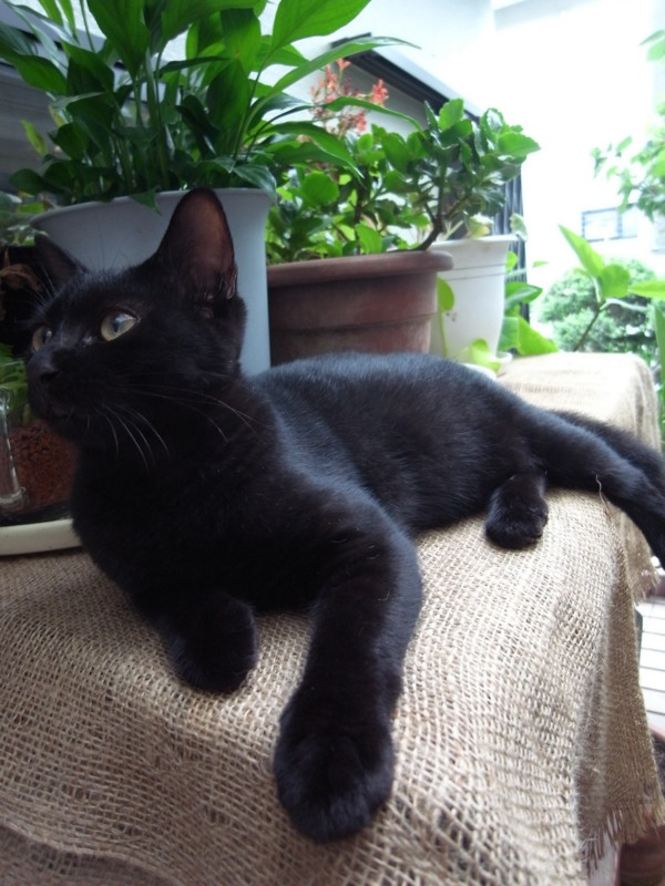 f:id:banashow:20110903112016j:image f:id:banashow:20110903112016j:image