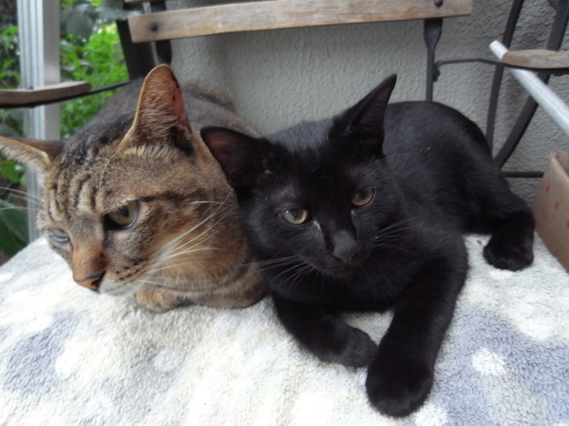 f:id:banashow:20110903163545j:image f:id:banashow:20110903163545j:image