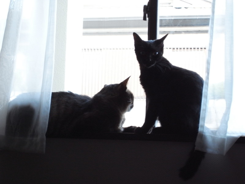 f:id:banashow:20110906175535j:image