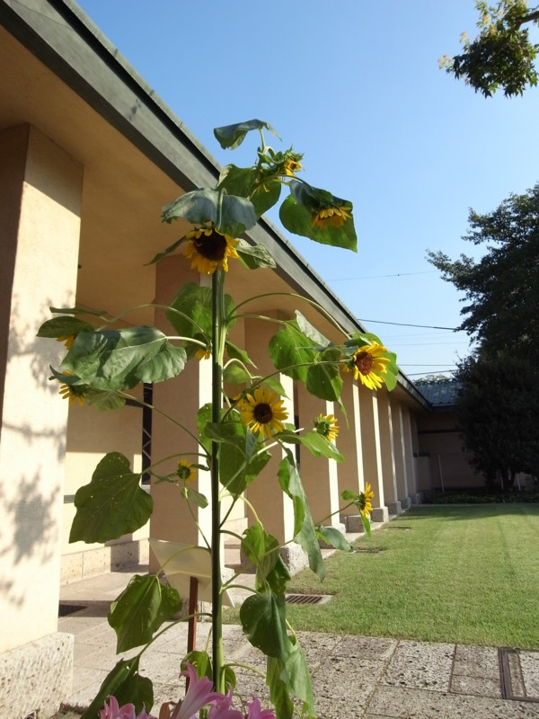 f:id:banashow:20110907152246j:image f:id:banashow:20110907152246j:image