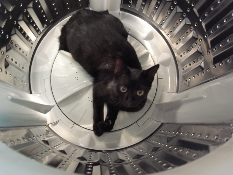 f:id:banashow:20110919090057j:image