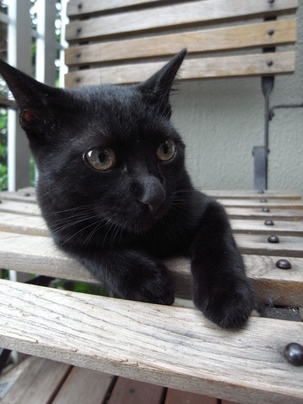 f:id:banashow:20110921102251j:image