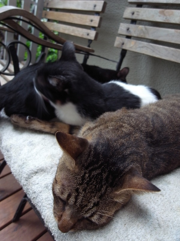 f:id:banashow:20110921105207j:image